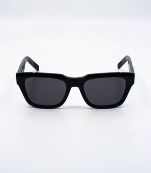 Dior (DiorB23 S1I)